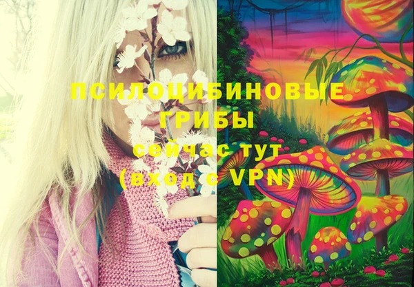 эйфоретик Снежногорск