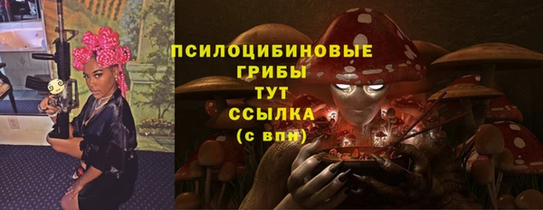 спайс Белокуриха